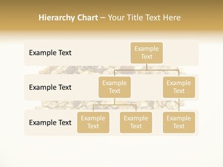 Healthy Cereal Nut PowerPoint Template