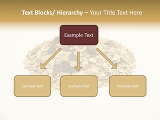 Healthy Cereal Nut PowerPoint Template