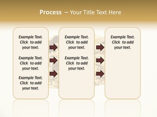 Healthy Cereal Nut PowerPoint Template