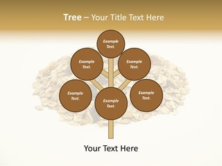 Healthy Cereal Nut PowerPoint Template