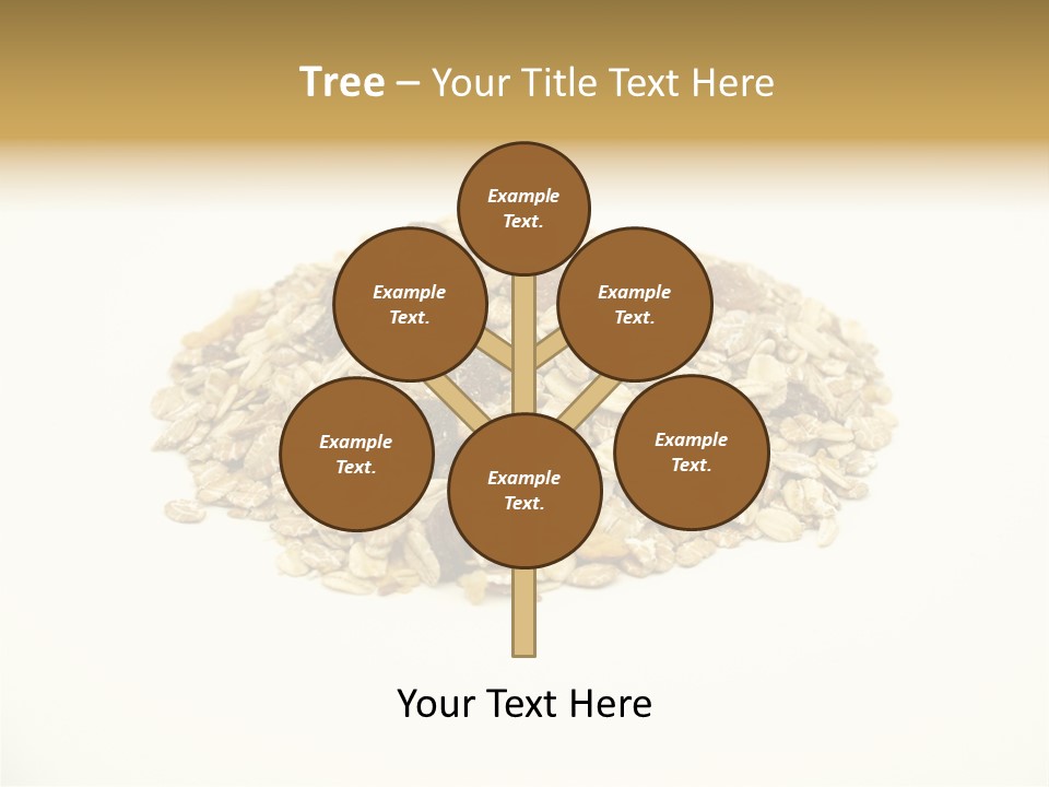 Healthy Cereal Nut PowerPoint Template