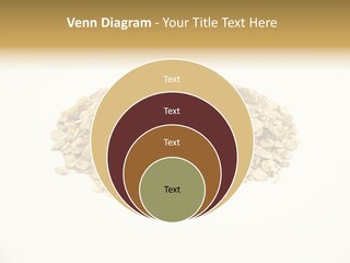 Healthy Cereal Nut PowerPoint Template
