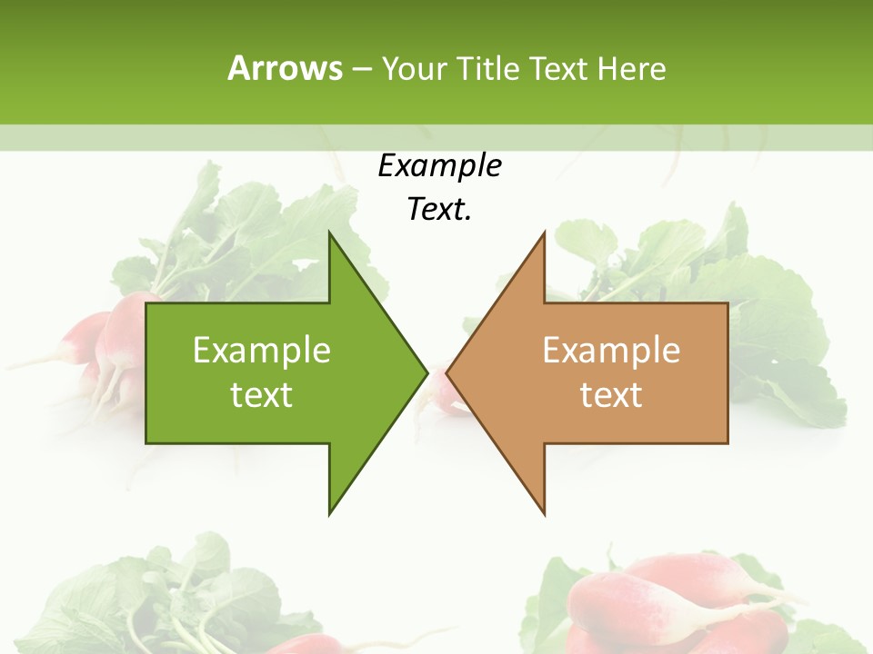 Group Vegetarian Holding PowerPoint Template