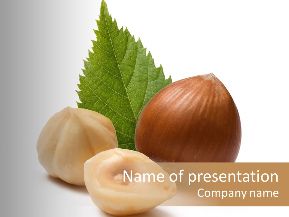 Nut Natural Fat PowerPoint Template