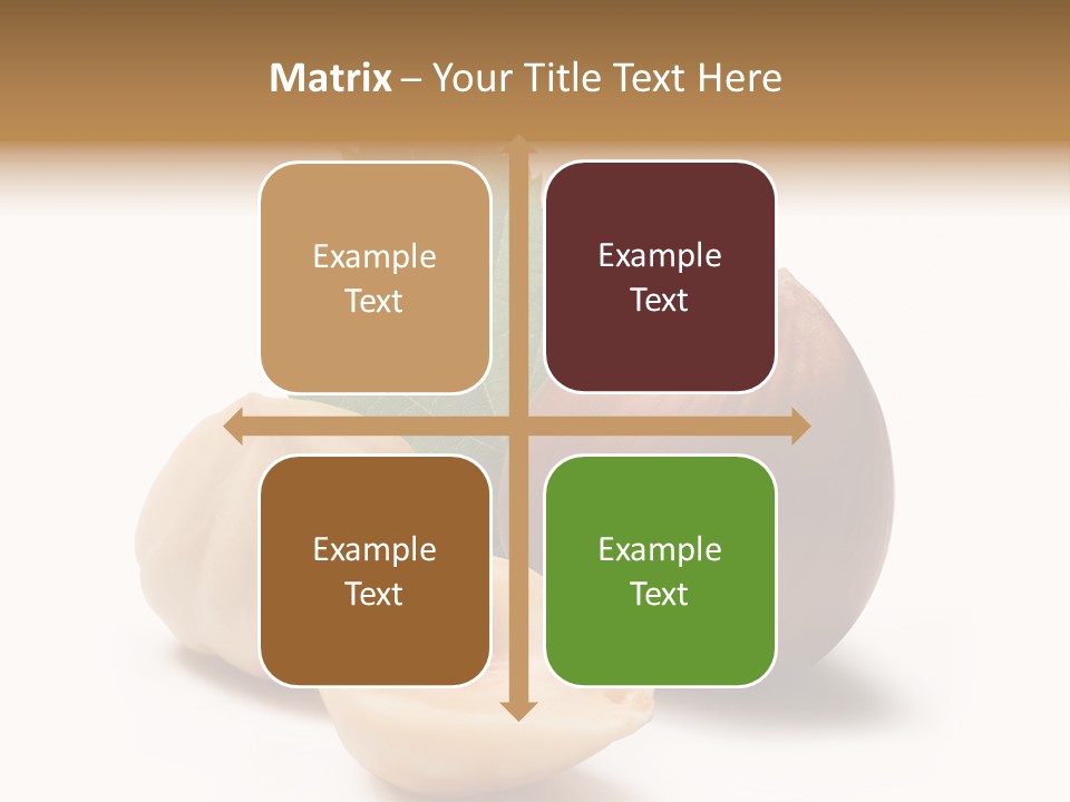 Nut Natural Fat PowerPoint Template