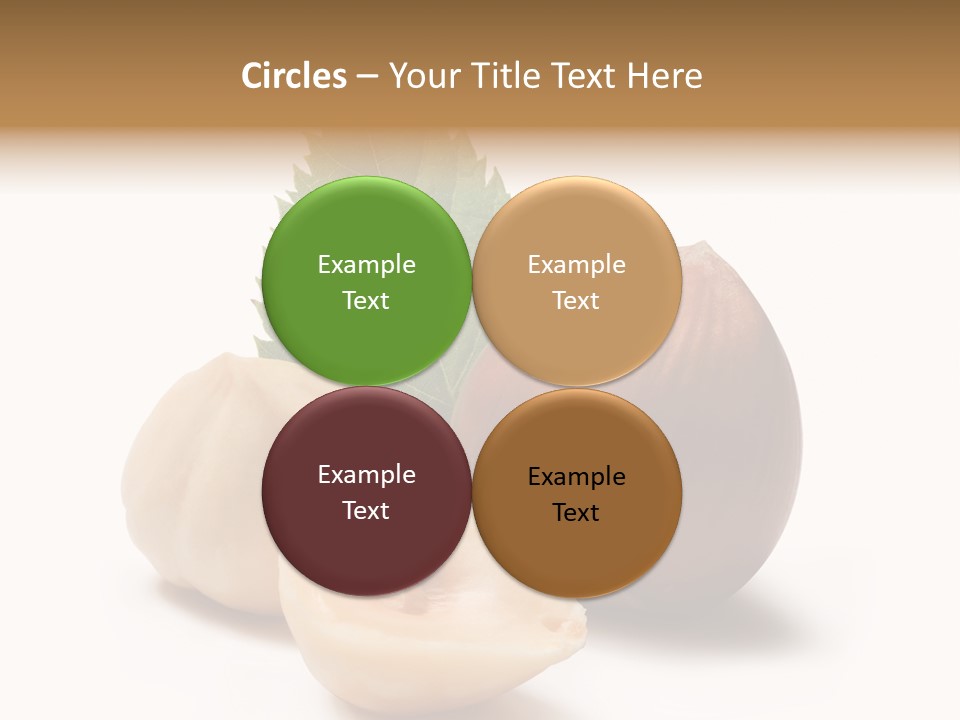 Nut Natural Fat PowerPoint Template