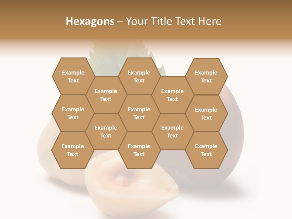 Nut Natural Fat PowerPoint Template