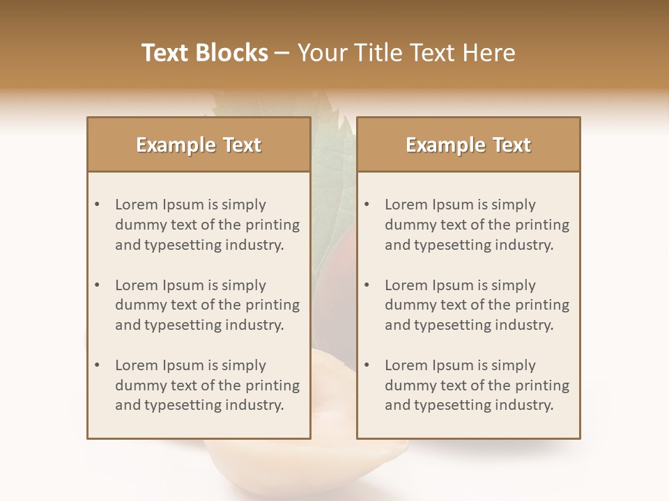 Nut Natural Fat PowerPoint Template