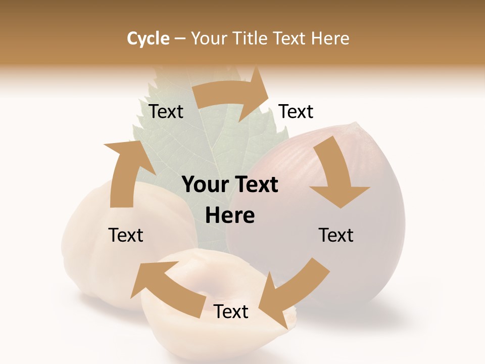 Nut Natural Fat PowerPoint Template