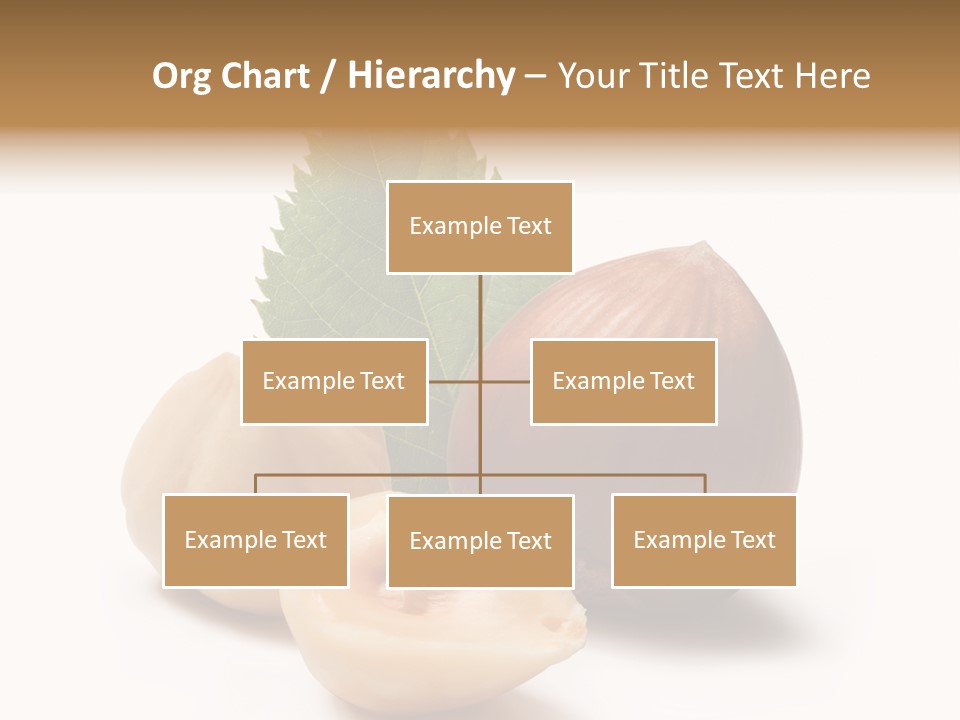 Nut Natural Fat PowerPoint Template