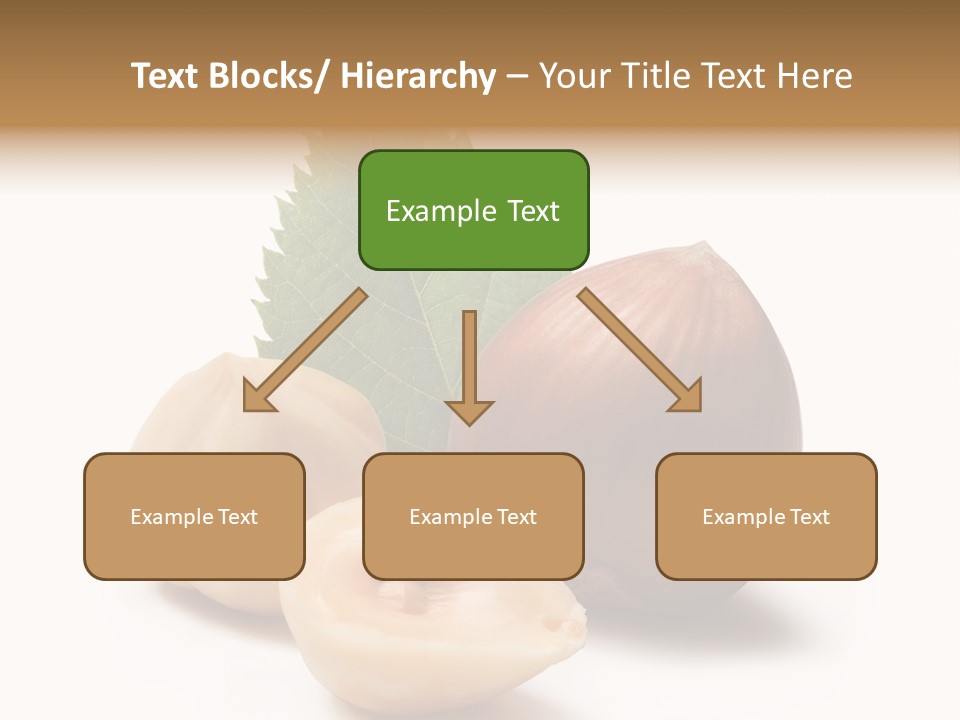Nut Natural Fat PowerPoint Template
