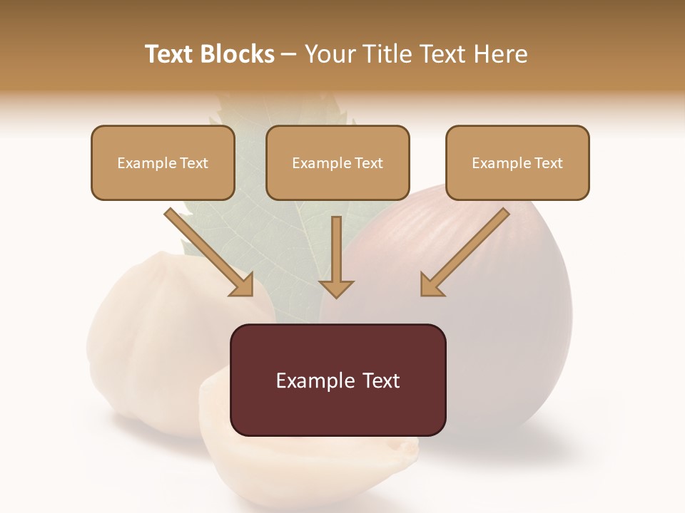 Nut Natural Fat PowerPoint Template