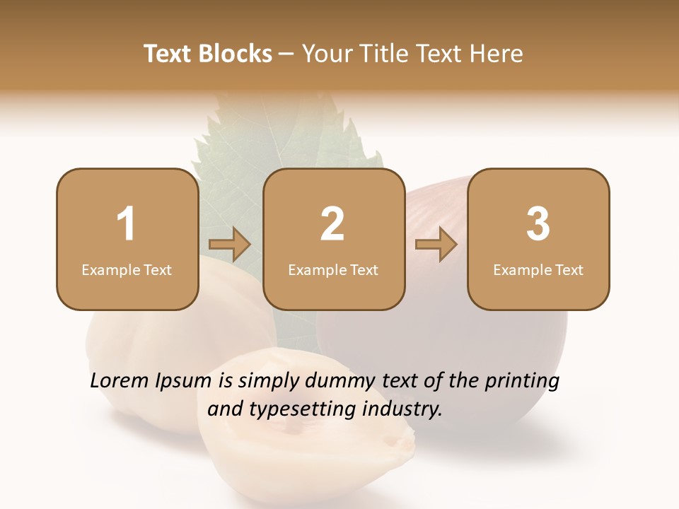 Nut Natural Fat PowerPoint Template