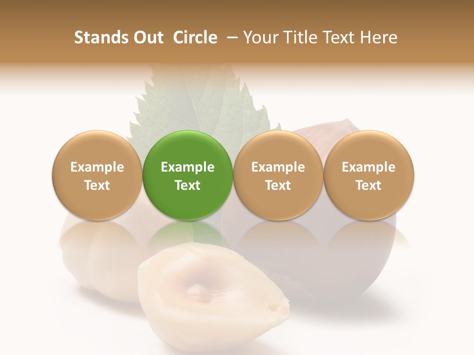 Nut Natural Fat PowerPoint Template