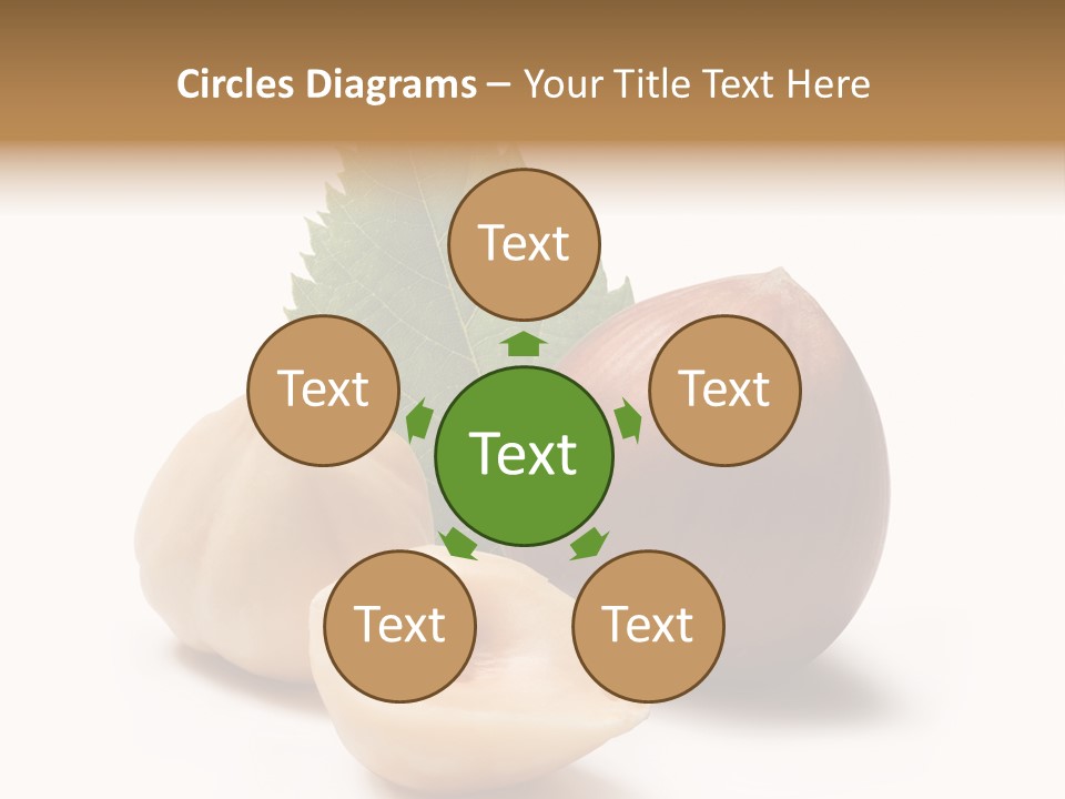 Nut Natural Fat PowerPoint Template