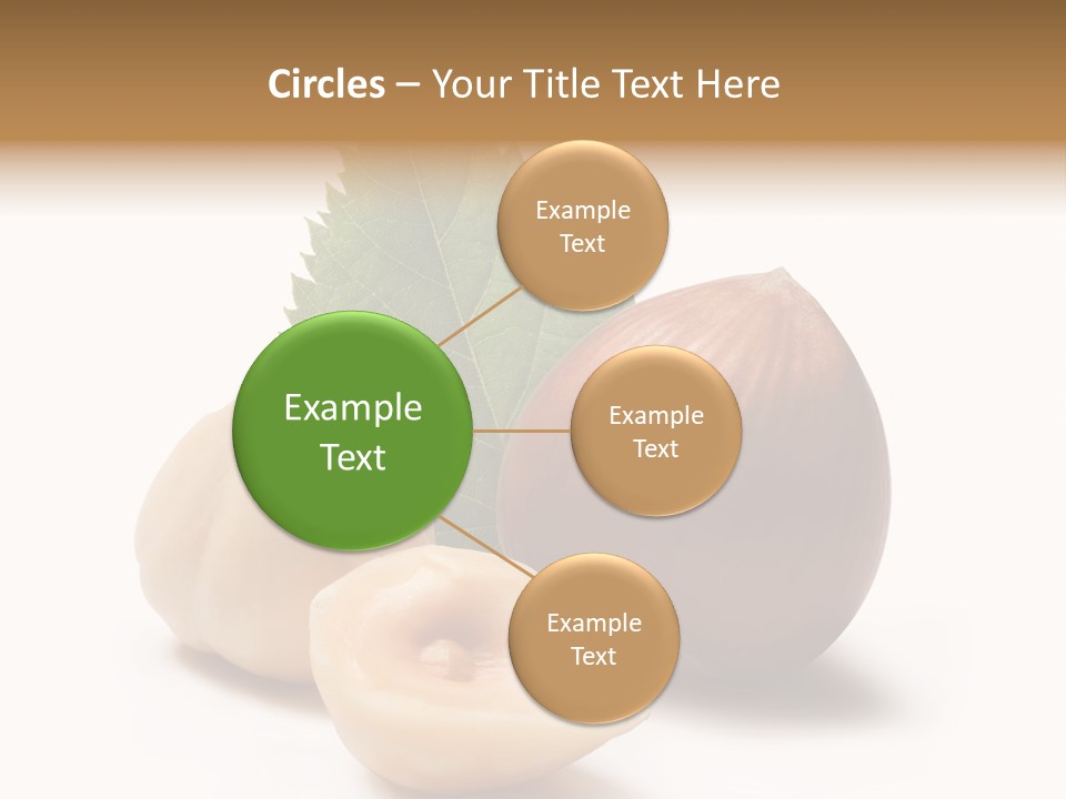 Nut Natural Fat PowerPoint Template