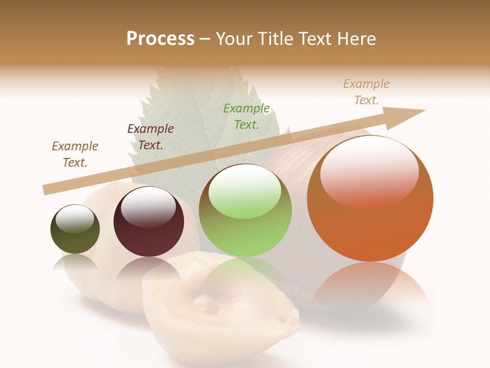 Nut Natural Fat PowerPoint Template