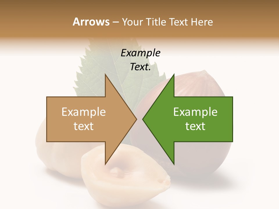 Nut Natural Fat PowerPoint Template