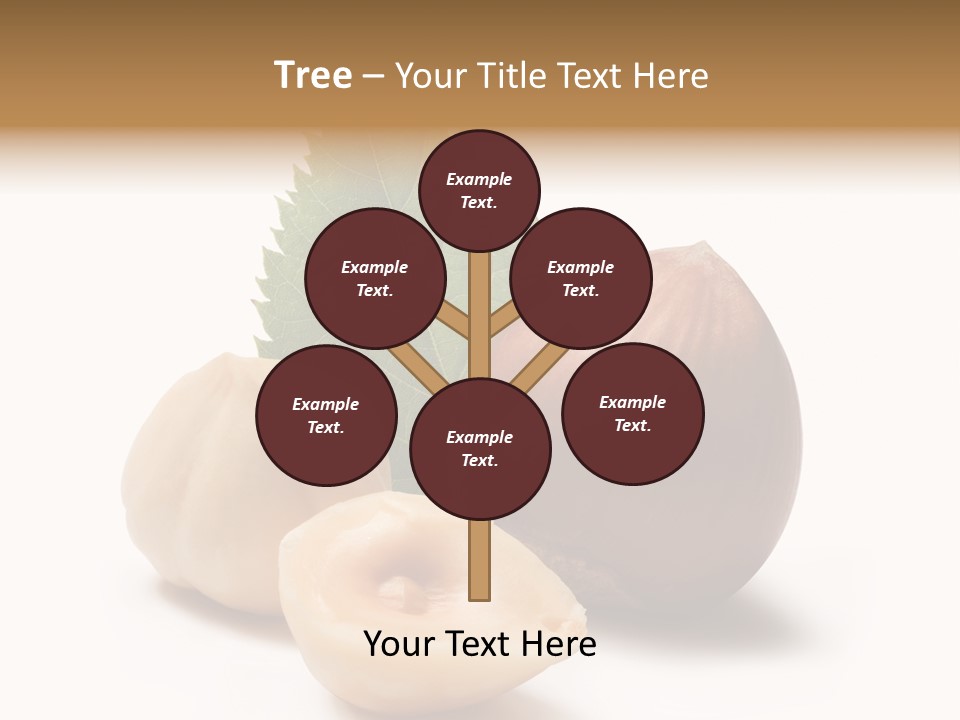 Nut Natural Fat PowerPoint Template
