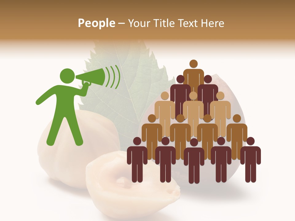 Nut Natural Fat PowerPoint Template