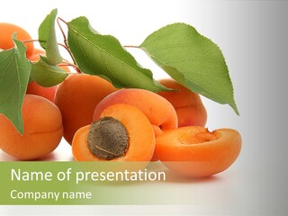 Summer Tree White PowerPoint Template