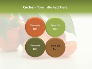 Summer Tree White PowerPoint Template