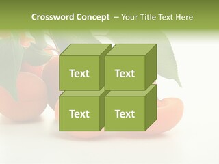 Summer Tree White PowerPoint Template