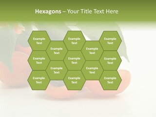 Summer Tree White PowerPoint Template