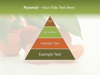 Summer Tree White PowerPoint Template