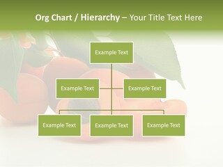 Summer Tree White PowerPoint Template