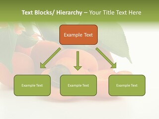 Summer Tree White PowerPoint Template