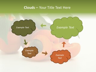 Summer Tree White PowerPoint Template
