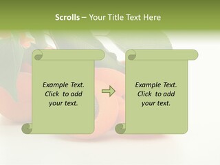 Summer Tree White PowerPoint Template