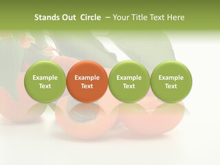 Summer Tree White PowerPoint Template