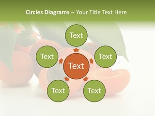 Summer Tree White PowerPoint Template