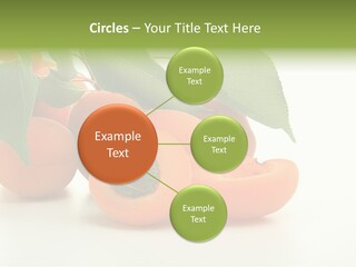 Summer Tree White PowerPoint Template