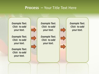 Summer Tree White PowerPoint Template