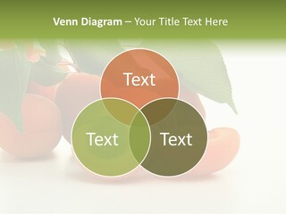 Summer Tree White PowerPoint Template