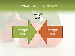 Summer Tree White PowerPoint Template