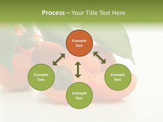 Summer Tree White PowerPoint Template