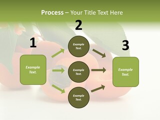 Summer Tree White PowerPoint Template