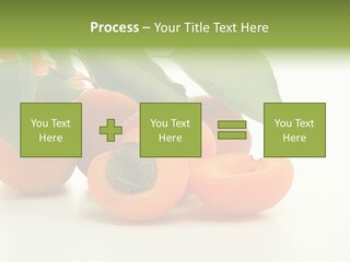 Summer Tree White PowerPoint Template