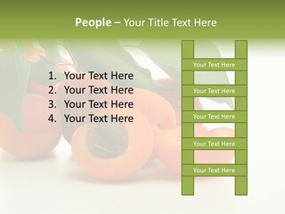 Summer Tree White PowerPoint Template