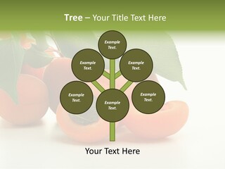 Summer Tree White PowerPoint Template