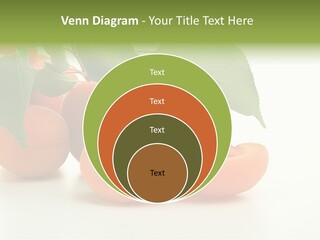 Summer Tree White PowerPoint Template