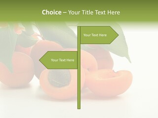 Summer Tree White PowerPoint Template