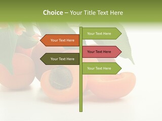 Summer Tree White PowerPoint Template