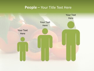 Summer Tree White PowerPoint Template