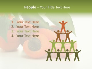 Summer Tree White PowerPoint Template