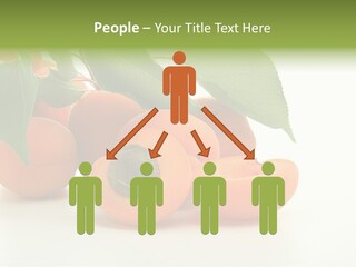Summer Tree White PowerPoint Template